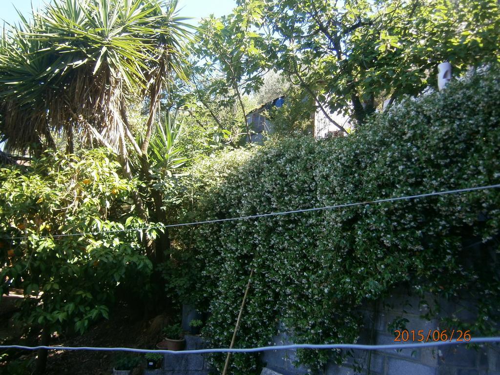 Albergo Il Cantuccio Bolano Exterior photo
